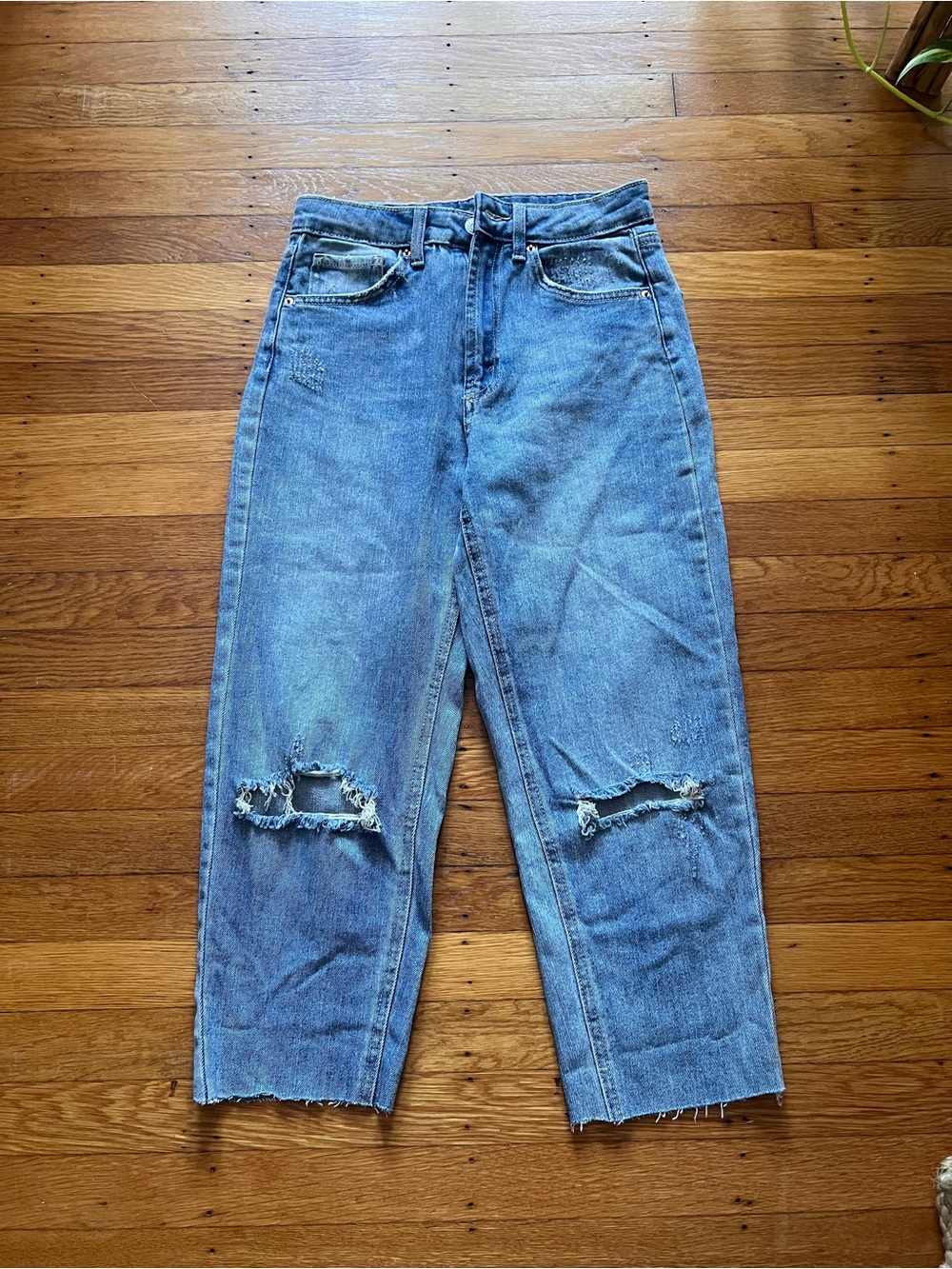 Wild Fable Highest Rise Mom Jean - Distressed Light Blue Cropped - Size 2